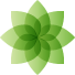 Site Name